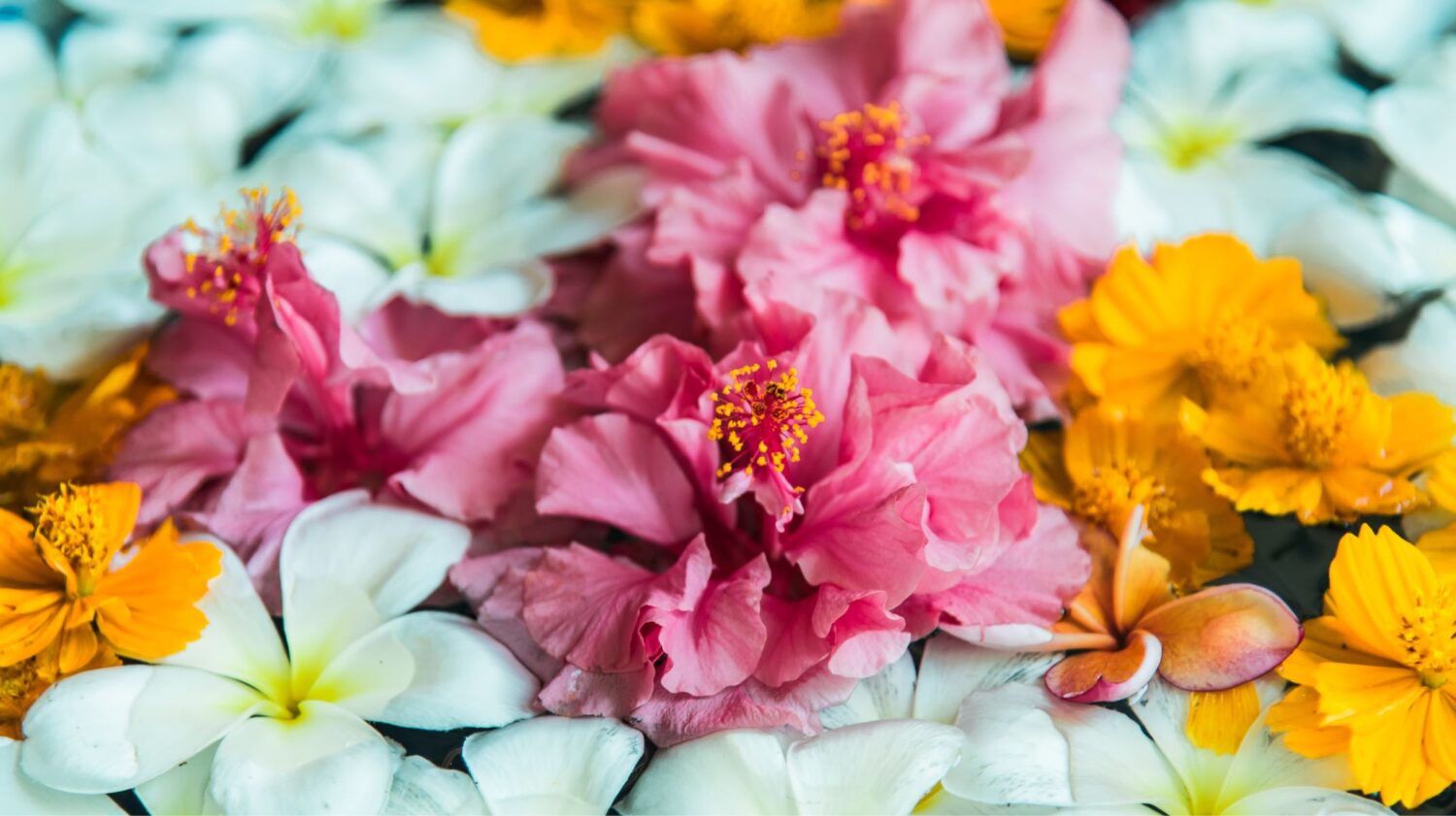 Hochzeitsblumen zu jeder Jahreszeit