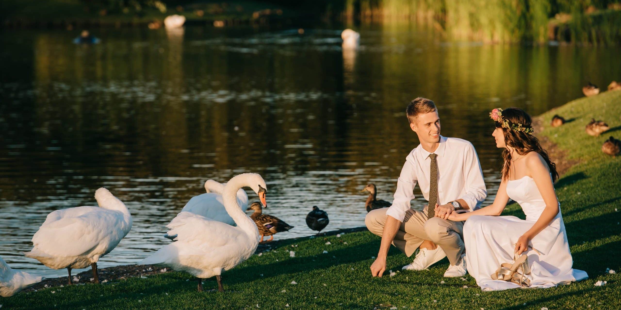 happy young wedding couple feeding swans and smiling each other in park