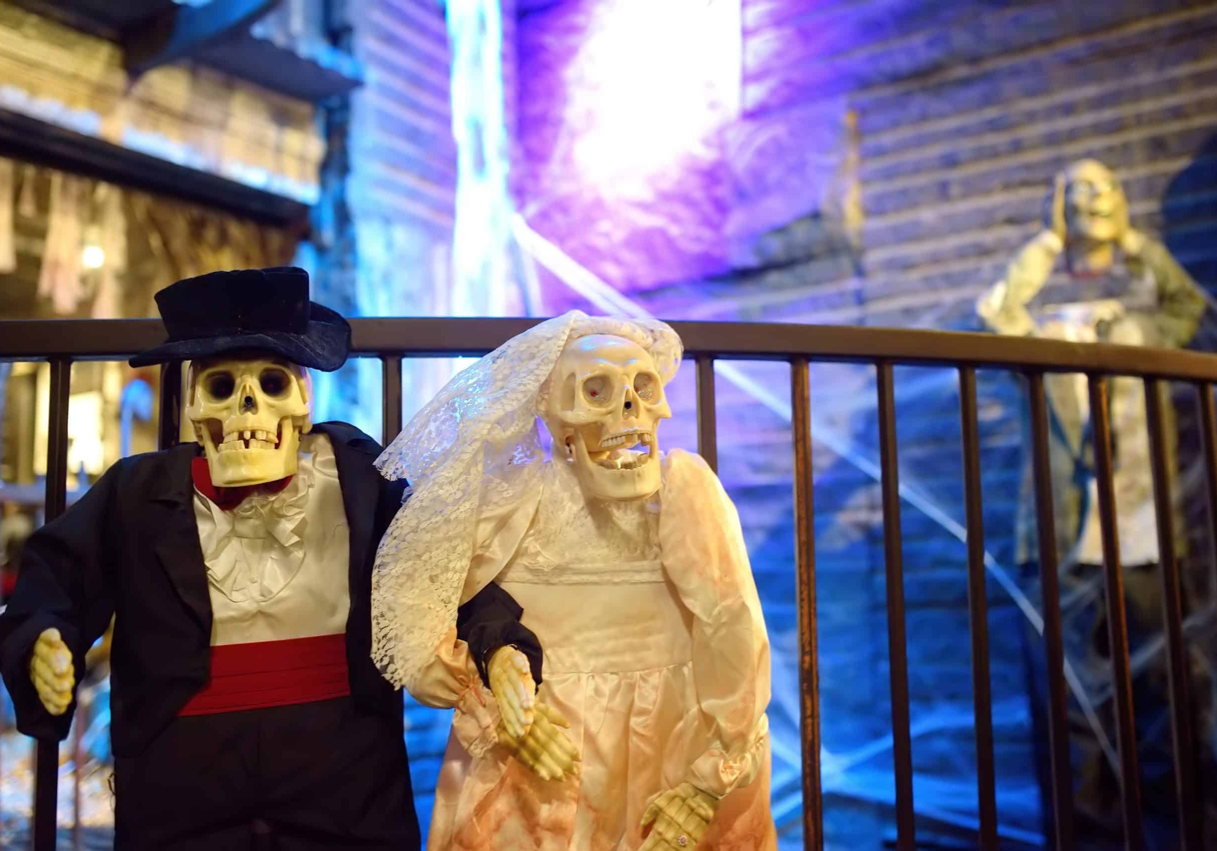 wedding-pair-of-scary-skeletons-in-chelsea-market-2022-11-11-19-17-24-utc