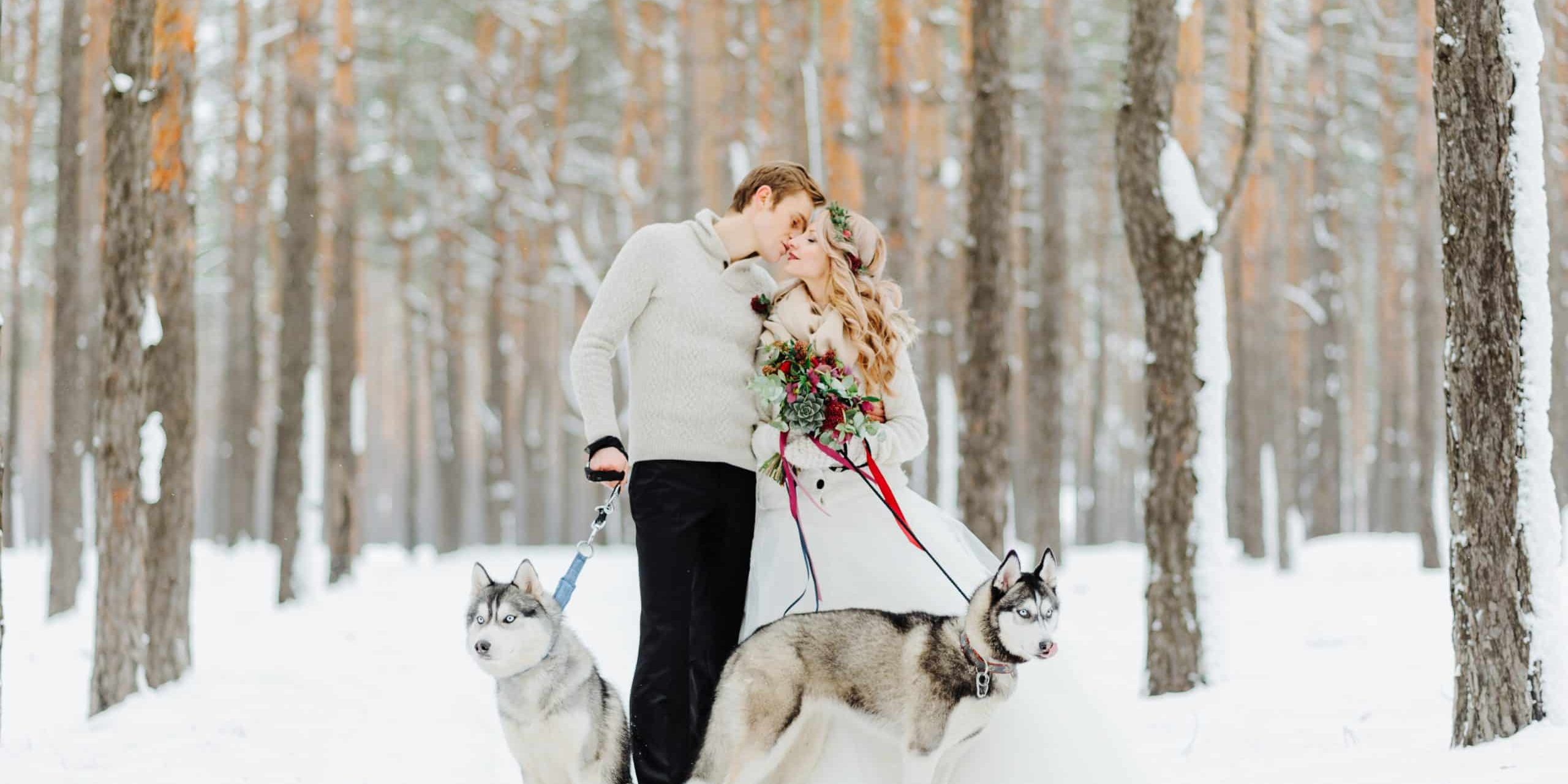 Winter wedding photosession in nature with dogs